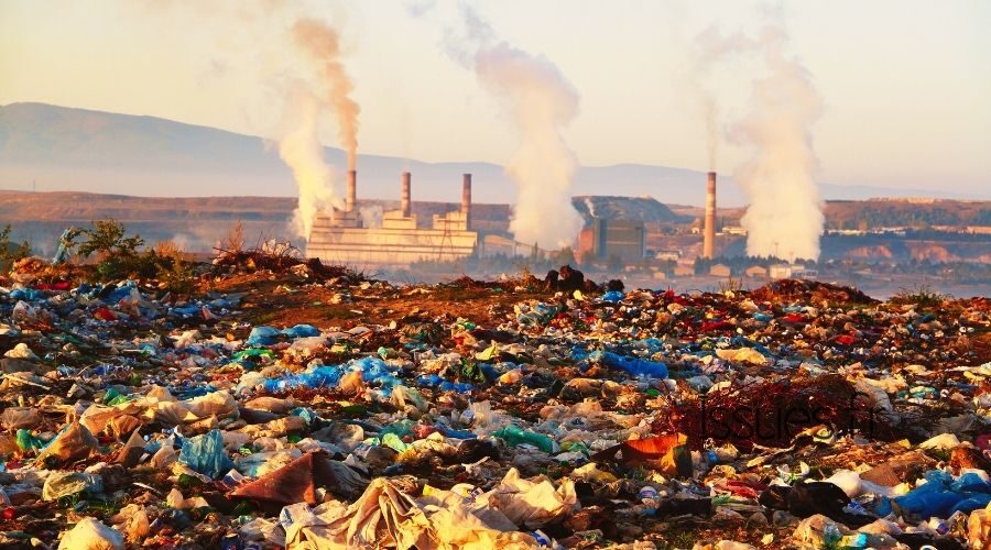 L’homme, une Menace pour l’environnement